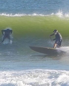Stand Up Paddle