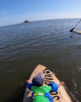 Stand Up Paddle