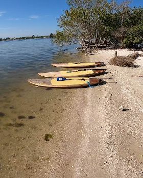 Stand Up Paddle