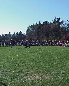 Samba soccer demonstration
