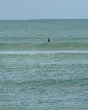 my last sup