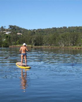 Currumbin Estuary Dolphins