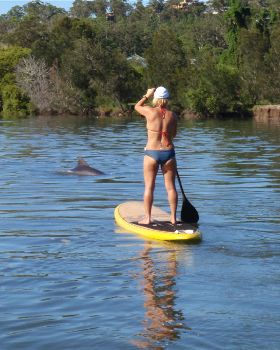 Stand Up Paddle