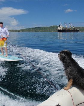 Stand Up Paddle