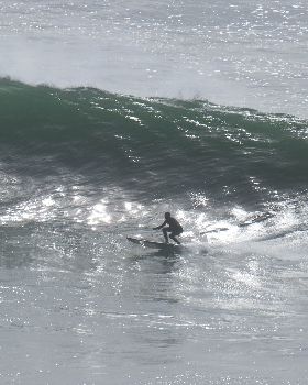 Frankenboard