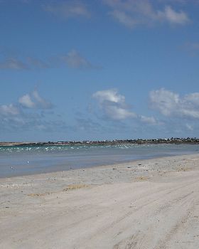 Wallaroo
