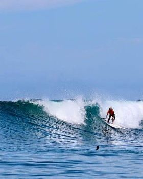 Stand Up Paddle