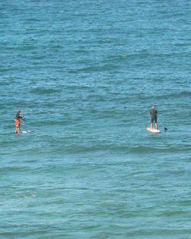 Fun in the wind. Northern reef break Perth