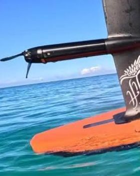 Stand Up Paddle