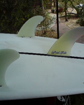 Fin Set Up