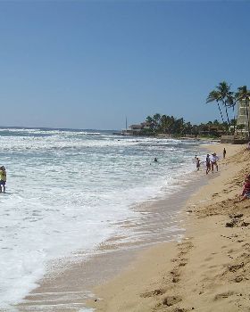 DSC02255