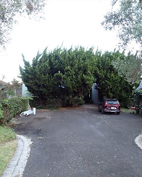 P7250006