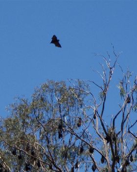 P2040023crop