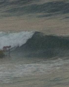 Sam at Narrabeen