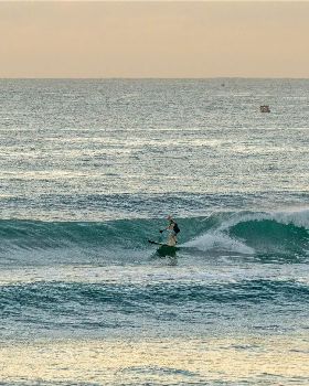 Stand Up Paddle
