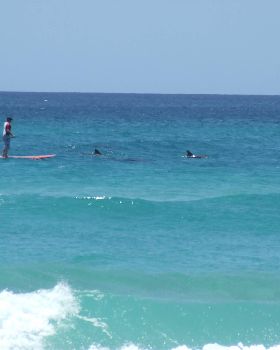2009 with aquatic friends