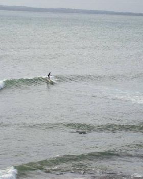 100 0228 (Small)