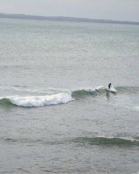100 0229 (Small)