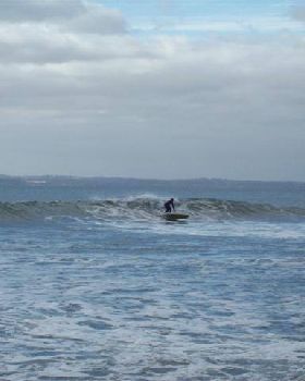 100 0239 (Small)