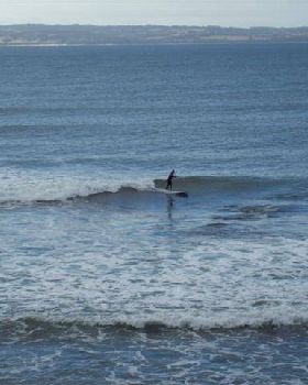 100 0245 (Small)