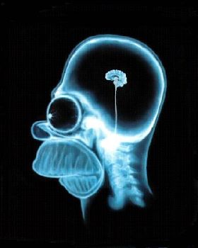 homer simpson