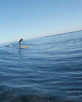 Sweet conditions