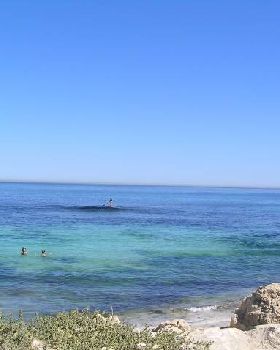 Zero swell in Perth