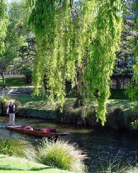 3068951-The-River-Avon-Christchurch-0