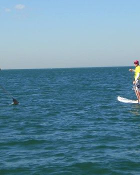 The Glide brothers