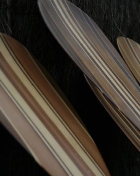 Clifton Paddles