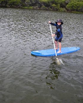 MRpaddle 3