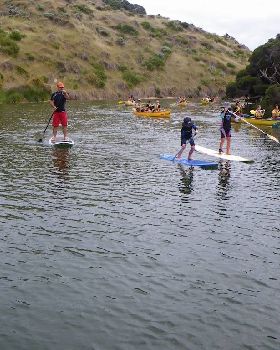 MRpaddle 4