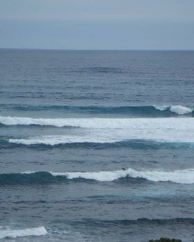 wave 5