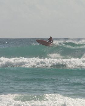 Stand Up Paddle