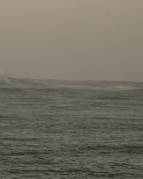 simo paddle in