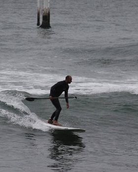 Sydney Harbour SUP