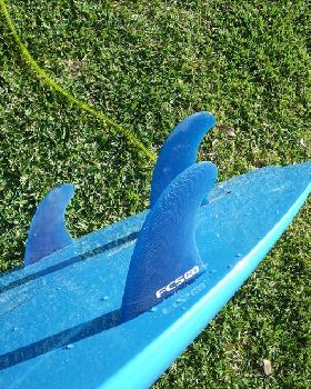 fins 1