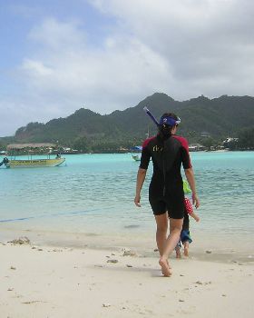 no board, will snorkel