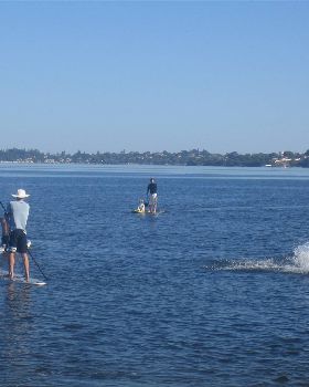 Stand Up Paddle