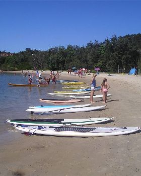 The line up