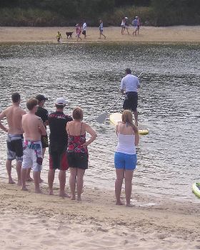 The crowd