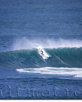 queenscliff bombie25409
