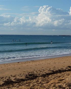 5 sups collaroy