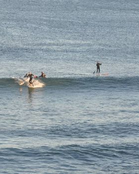 Stand Up Paddle