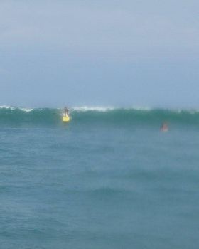 foggywave