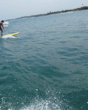 fatswells