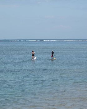 babyreef