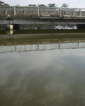 ANGLESEA RIVER 015