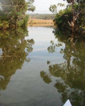 ANGLESEA RIVER 031