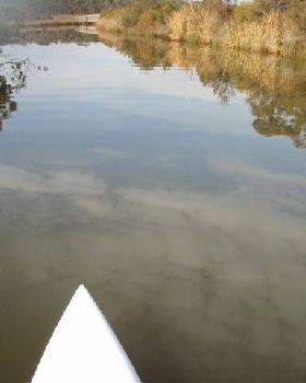 ANGLESEA RIVER 037